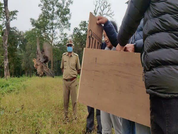 Authorities releasing Khaleej pheasants in the Mahananda wildlife sanctuary. (Photo/ANI)