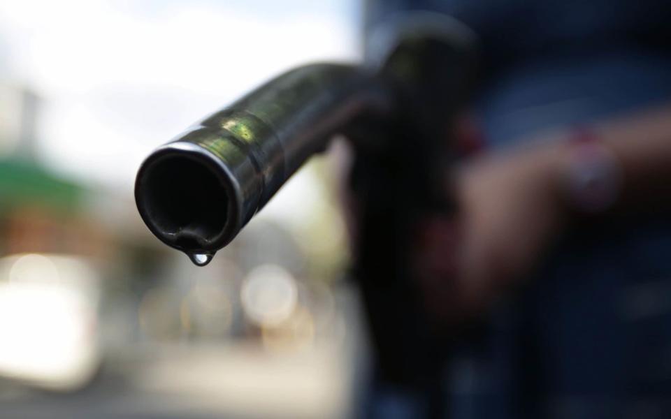 The diesel nozzle at a fuel station – unlikely to be an endangered species for at least another 30 years - PA