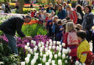 Some 70,000 British garden lovers are estimated to have passed through Keukenhof's gates last year. (Caters News)