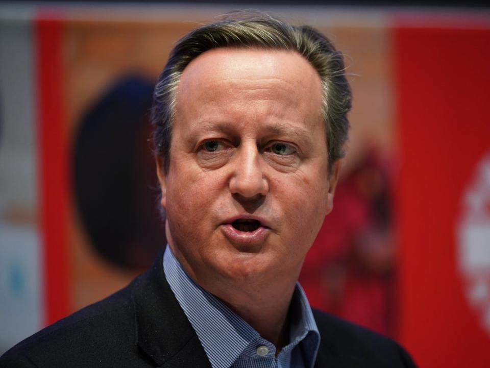 Former PM David Cameron said Sunak had made a big mistake (PA)