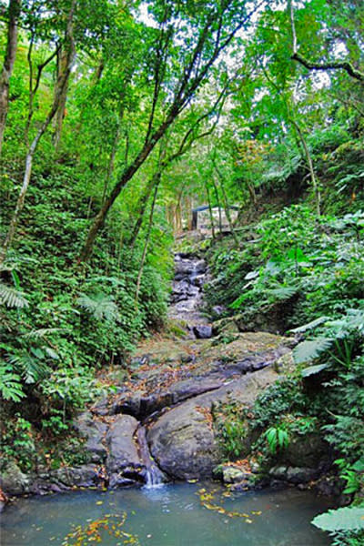 氧森谷有遠離塵囂之感 (圖／氧森谷花園餐廳)