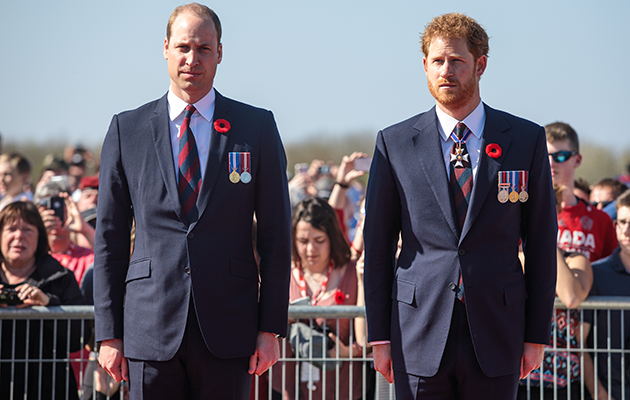 Prince William and Harry have spoken out for a BBC documentary about their mother's death. Photo: Getty