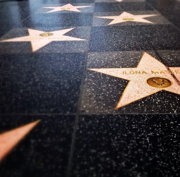 Averaging an addition of two new stars every month, the Walk of Fame honors Hollywood greats. The first star was awarded to Joanne Woodward in 1960. By 1994, over 2,000 of the <a href="http://hwof.mobi/about/history/" target="_blank">original stars were filled</a>, and additional stars were added by extending the Walk west past Sycamore to La Brea Avenue.