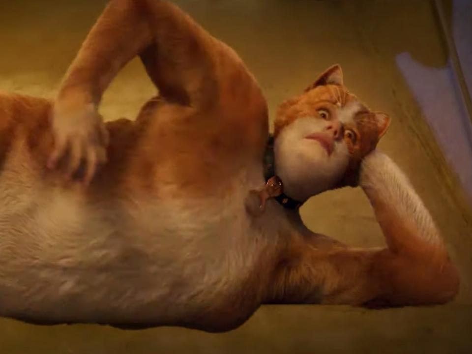 cats movie rebel wilson