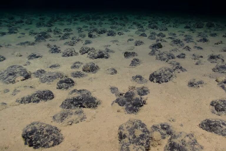 Nódulos polimetálicos en el fondo marino del Pacífico tropical oriental generan oxígeno en un lugar donde no debería haberlo