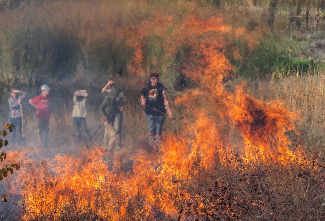 Participants tend a cultural burn at the Cache Creek Nature Preserve on Friday that was designed to demonstrate Native American practices for beneficial fire. Hector Amezcua/hamezcua@sacbee.com