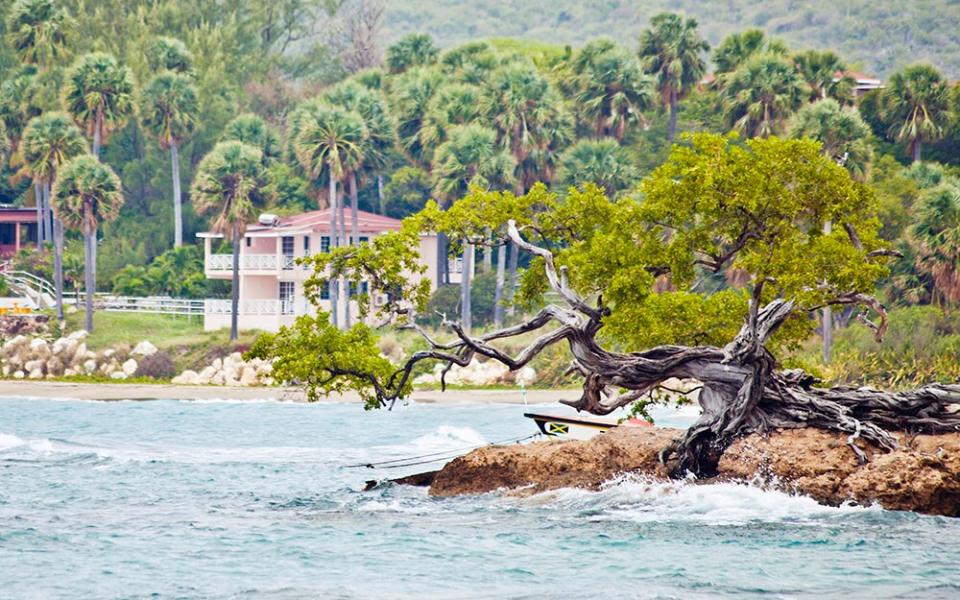 Treasure Beach, Jamaica