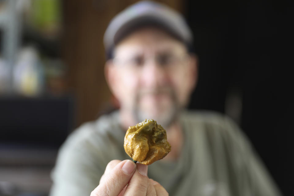 Ed Currie holds up one of his Pepper X peppers on Tuesday, Oct. 10, 2023, in Fort Mill, S.C. The pepper is now the hottest pepper variety in the world according to the Guinness Book of World Records (AP Photo/Jeffrey Collins)