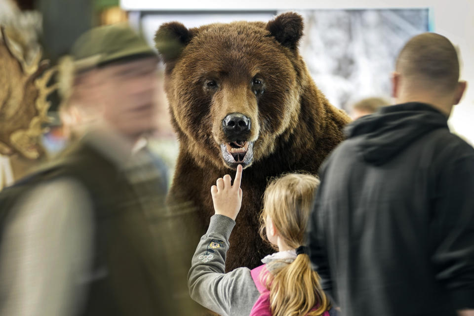 A girl touches a bear taxidermy mount hunting trophy at the hunting fair in Dortmund, Germany, Thursday, Feb. 1, 2024. (AP Photo/Martin Meissner)