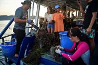 <p>El proyecto consiste en reutilizar redes de pesca usadas para convertirlas en otros productos de plástico. (Foto: Lillian Suwanrumpha / AFP / Getty Images).</p> 