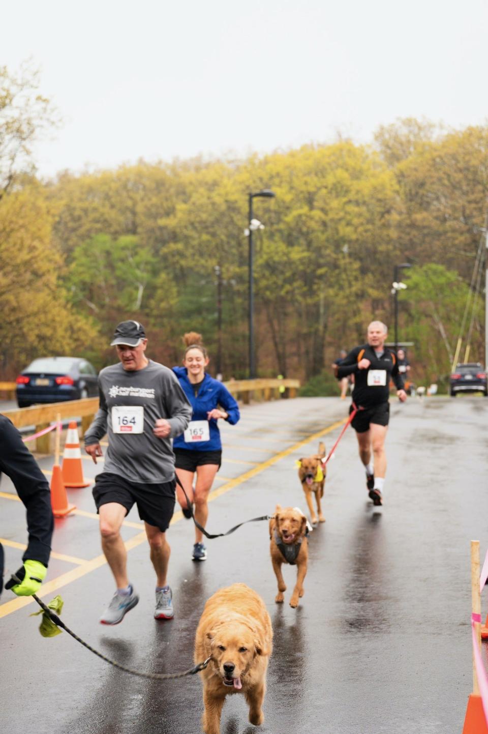 Runners, two-legged and four-legged alike, braved heavy rain during the JR's Paws for a Cause 5K last year in Natick.