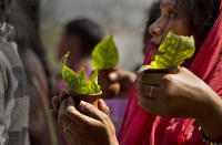 <p>Indian women devotees stand in a queue at Umananda, a river island in the Brahmaputra that houses a Shiva temple, during the Maha Shivratri festival in Gauhati, India, Friday, Feb. 24, 2017. Hindus across the world are celebrating Shivaratri, or the night of Shiva, observed on a moonless night annually and believed to be the day when Shiva got married. (AP Photo/Anupam Nath) </p>