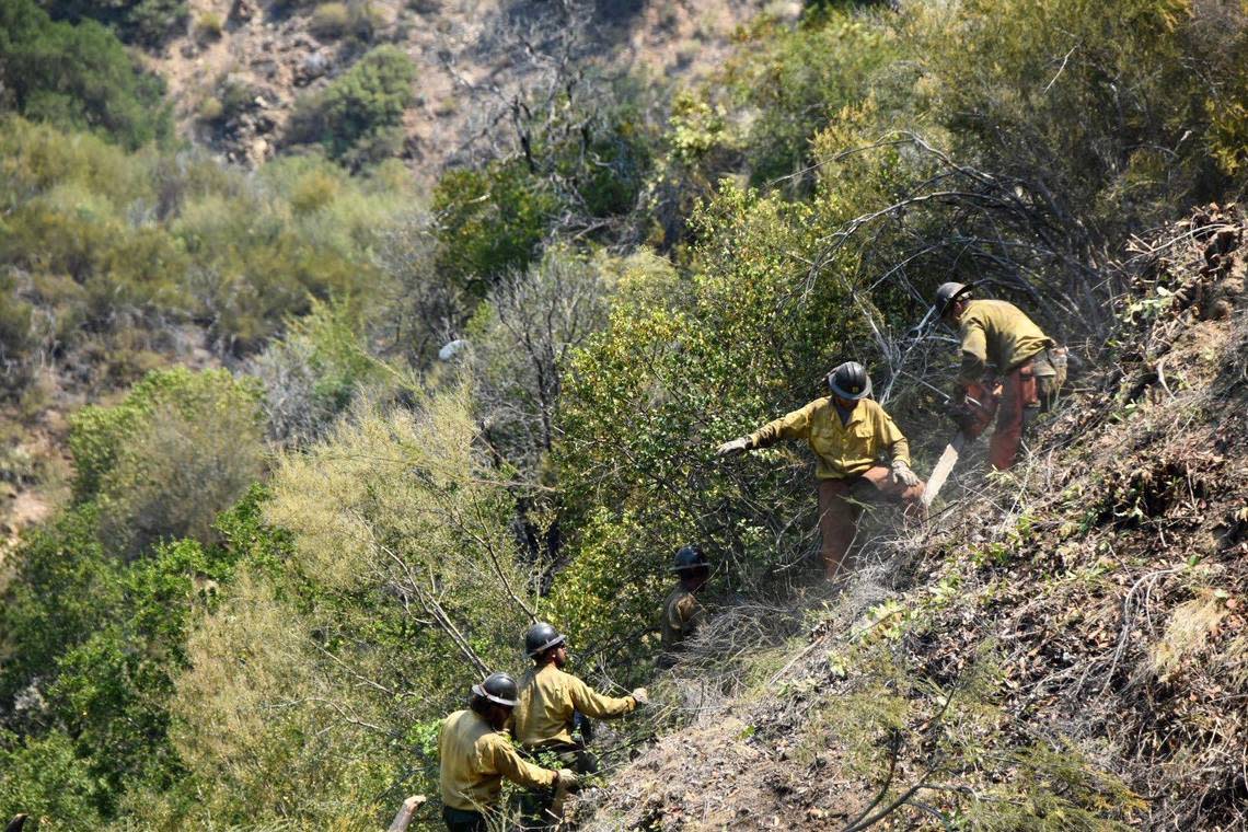 Firefighters work in steep terrain to build fuel breaks around the Willow Fire in the Los Padres National Forest in Monterey County.