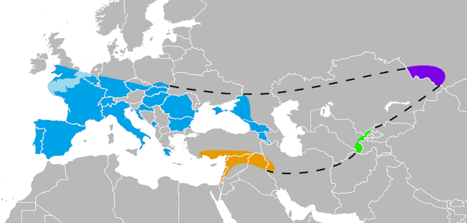 Ocupación neandental en Europa (azul), Sudeste asiático (naranja), Uzbekistán (verde) y las montañas Altai (violeta), según se infiere por los restos óseos encontrados. <a href="https://commons.wikimedia.org/wiki/File:Range_of_NeanderthalsAColoured.png" rel="nofollow noopener" target="_blank" data-ylk="slk:Nicolas Perrault III;elm:context_link;itc:0;sec:content-canvas" class="link ">Nicolas Perrault III</a>, <a href="http://creativecommons.org/licenses/by/4.0/" rel="nofollow noopener" target="_blank" data-ylk="slk:CC BY;elm:context_link;itc:0;sec:content-canvas" class="link ">CC BY</a>