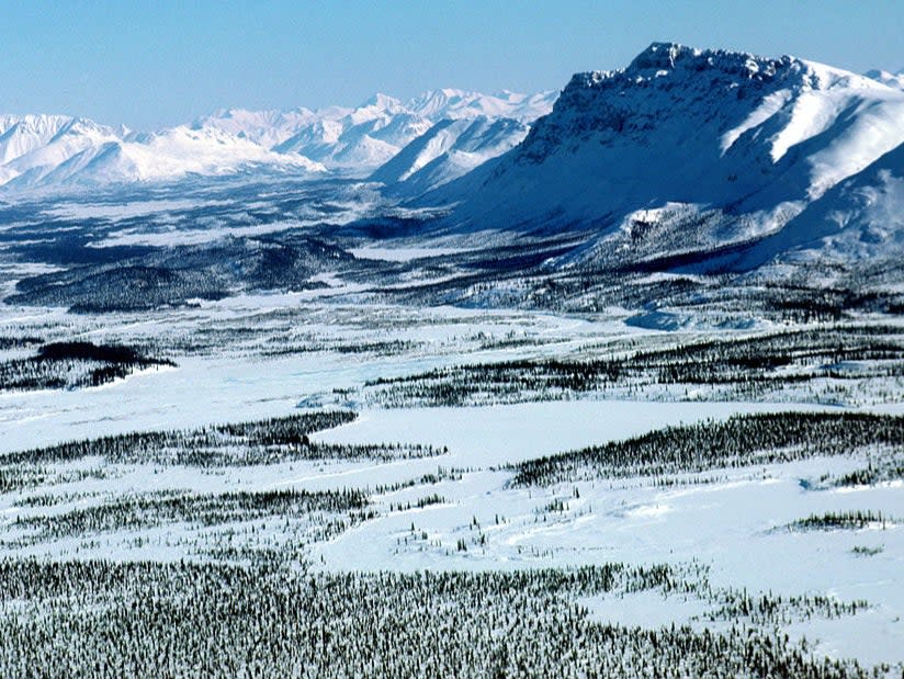 The Arctic National Wildlife Refuge in Alaska. The Trump administration is racing to sell off leases to oil and gas companies before he leaves office in January (Getty Images)