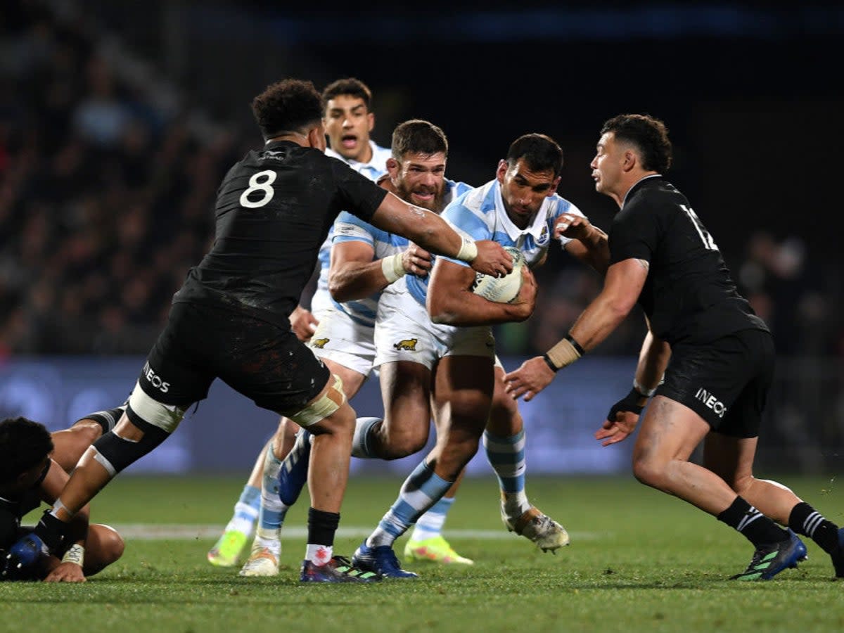 New Zealand take on Argentina in the Rugby Championship  (Getty Images)