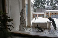 Two peacocks, direct descendants of the ones that Romania's former communist dictator Nicolae Ceausescu used to own, walk on a terrace at the villa in which the former leader used to live, in Bucharest, Romania January 25, 2017.Inquam Photos/Octav Ganea/via