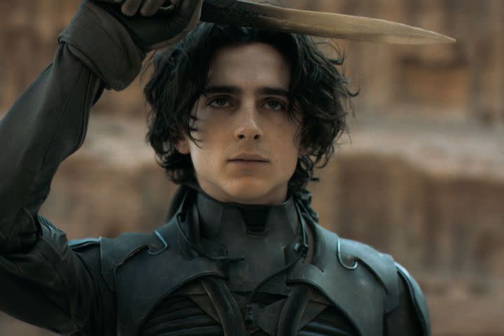 Timothee Chalamet in one of the scenes in Dune