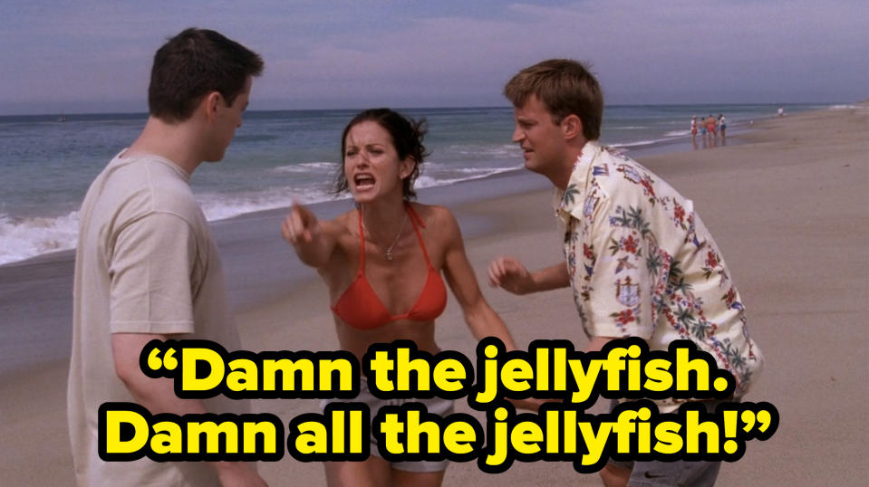 monica saying “Damn the jellyfish. Damn all the jellyfish!” on friends