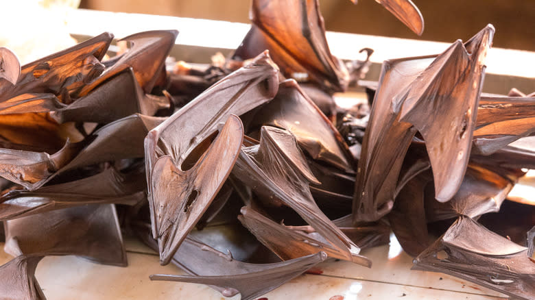 Bats wings on wood table