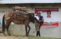 A woman walks her horse carrying firewood past a home decorated with a poster of Free Peru party presidential candidate Pedro Castillo in Puna, Peru, Friday, April 16, 2021. Castillo, a rural teacher, who has proposed rewriting Peru's constitution and deporting all immigrants living in the country illegally who commit crimes, will face rival candidate Keiko Fujimori in the June 6 presidential run-off election. (AP Photo/Martin Mejia)