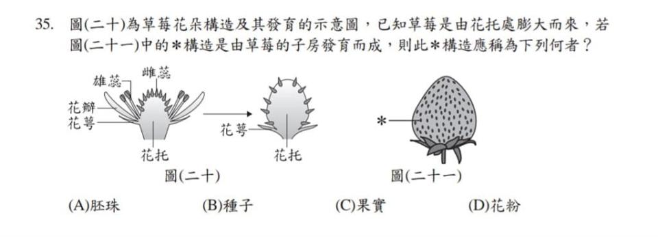 顛覆想象！草莓表面「小芝麻」不是種子…正解出爐一票考生崩潰了