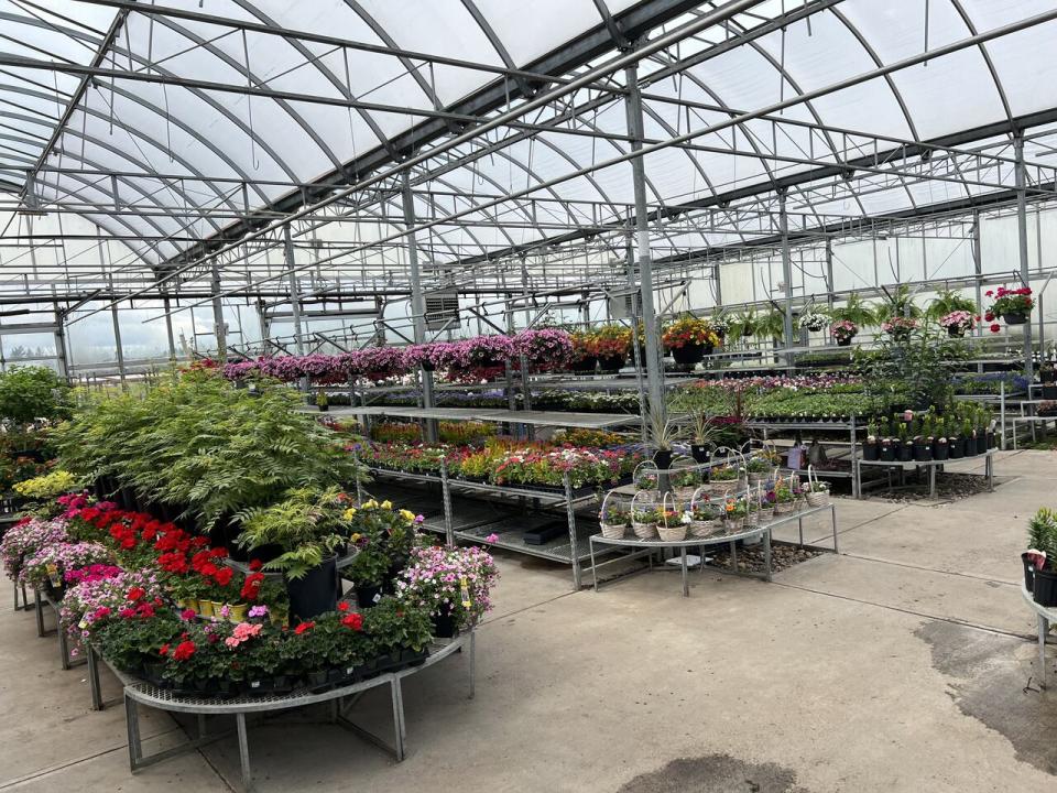 The Cobblestone Garden Centre says it's selling more fruit and vegetable plants to accommodate families struggling with the cost of living. 