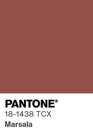 <p>Pantone</p> Color of the Year- Marsala