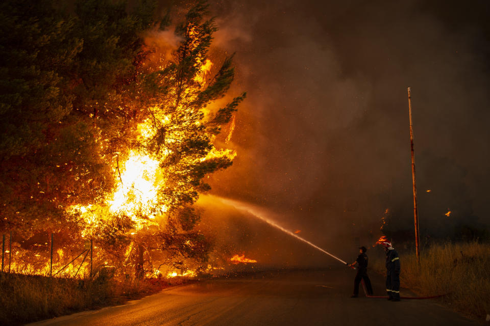   Picture Alliance / dpa/picture alliance via Getty Images