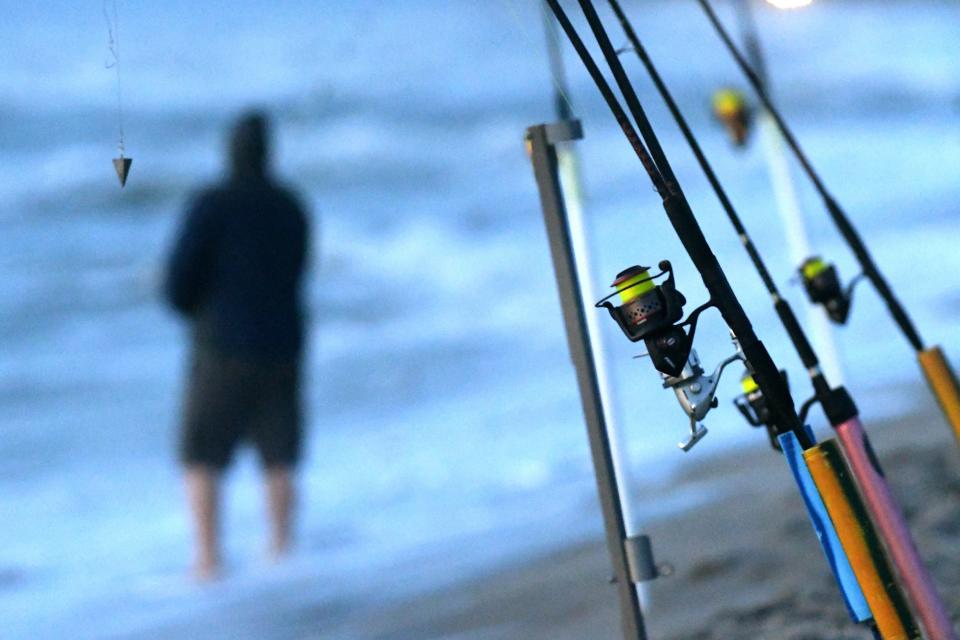 Recreational fishermen on the N.C. coast will soon have to report catches of five popular species under rules passed last year that are slated to go into effect Dec. 1, although regulators are seeking a year extension to roll out the program. KEN BLEVINS / STARNEWS