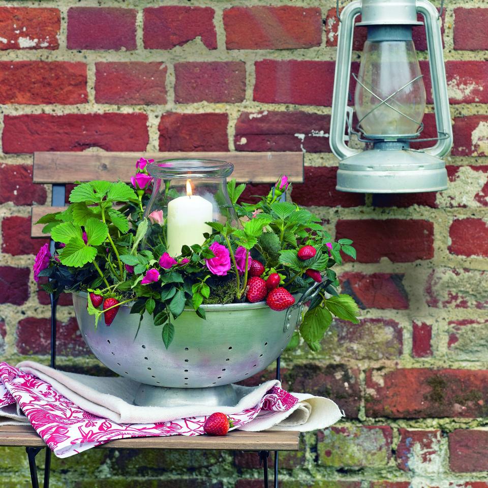 A strawberry plant planted in a colander with a candle in the centre