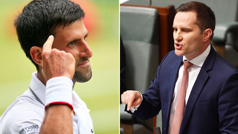 Immigration Minister Alex Hawke says Novak Djokovic's presence in Australia could stoke anti-vaccine sentiment and protests. Pic: AAP