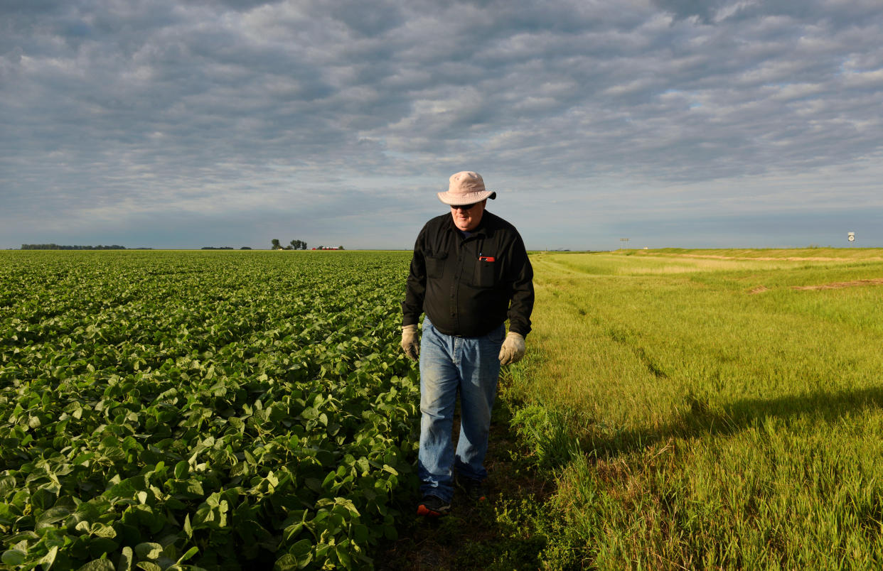 Corn and soybean farmer William Hejl checks one of his soybean fields in Amenia, North Dakota, U.S., July 6, 2018. REUTERS/Dan Koeck