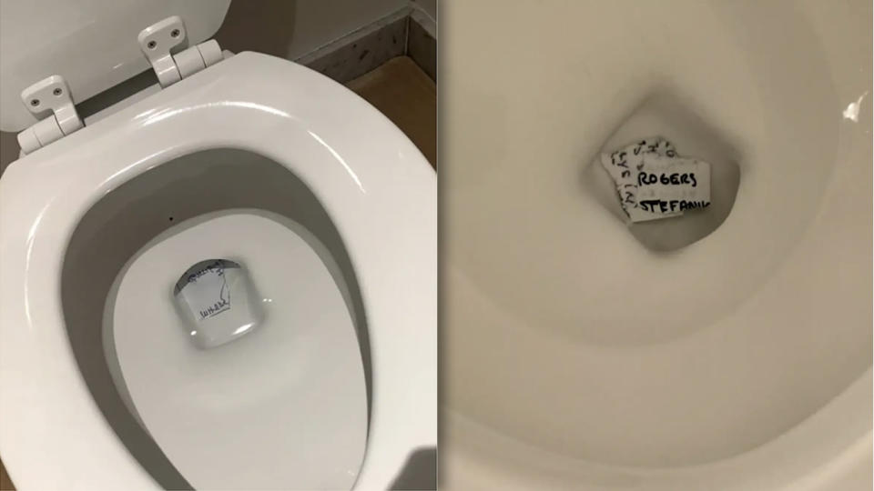 Photos showing torn pieces of paper at the bottom of toilets.