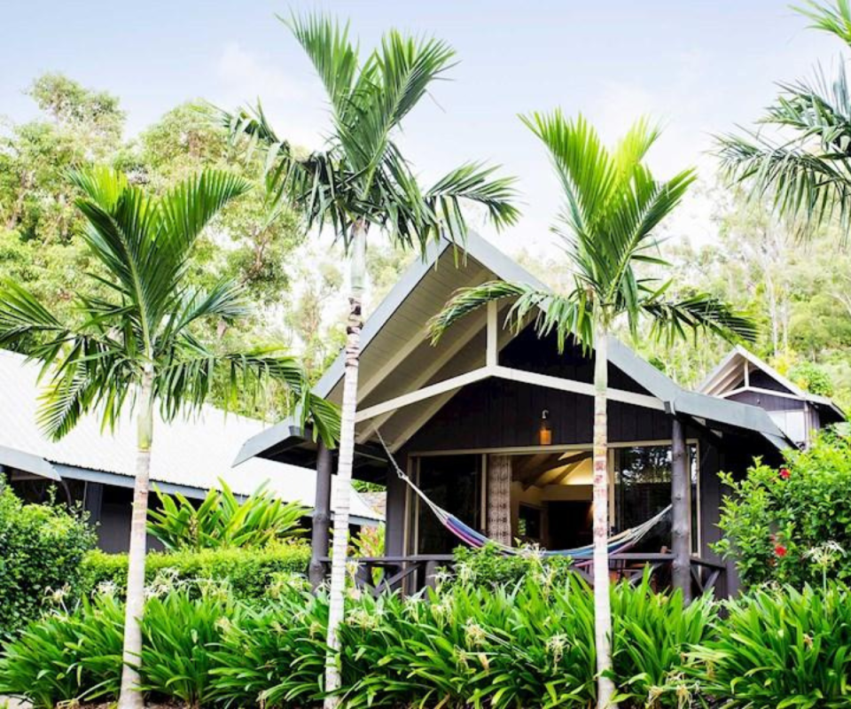 A leafy bungalow at Palm Bungalows with palm tress in front and hammock on deck