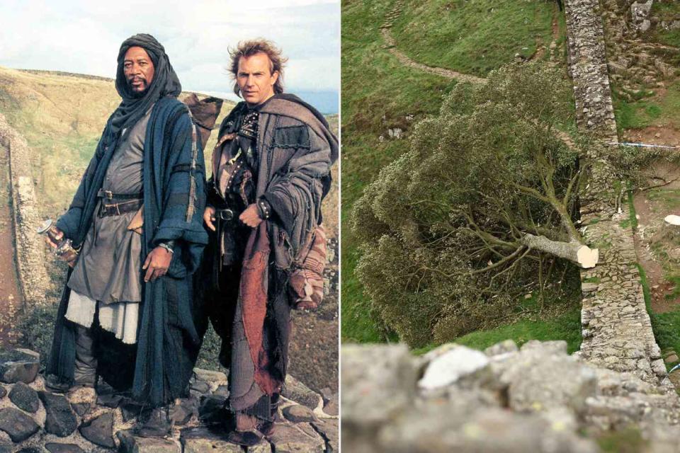 <p>Mary Evans/MORGAN CREEK / WARNER BROS/Ronald Grant/Everett Collection; Adam Vaughan/EPA-EFE/Shutterstock</p> Morgan Freeman, Kevin Costner, Sycamore Gap Tree