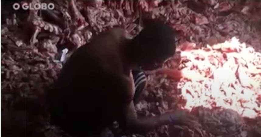 近日巴西媒體曝光窮人在動物殘骸中翻找碎肉影像，震驚全國。（圖／翻攝自 Militantes de Esquerda Youtube頻道）