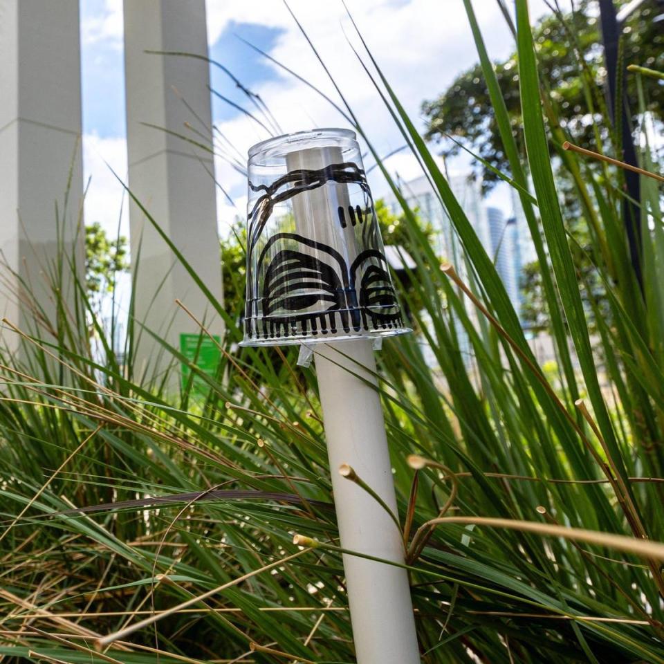 A piece of trash drawn on by David Anasagasti, better known as Ahol Sniffs Glue, during Geographies of Trash Day in the Brickell neighborhood of Miami, Florida, on Friday, June 30, 2023.