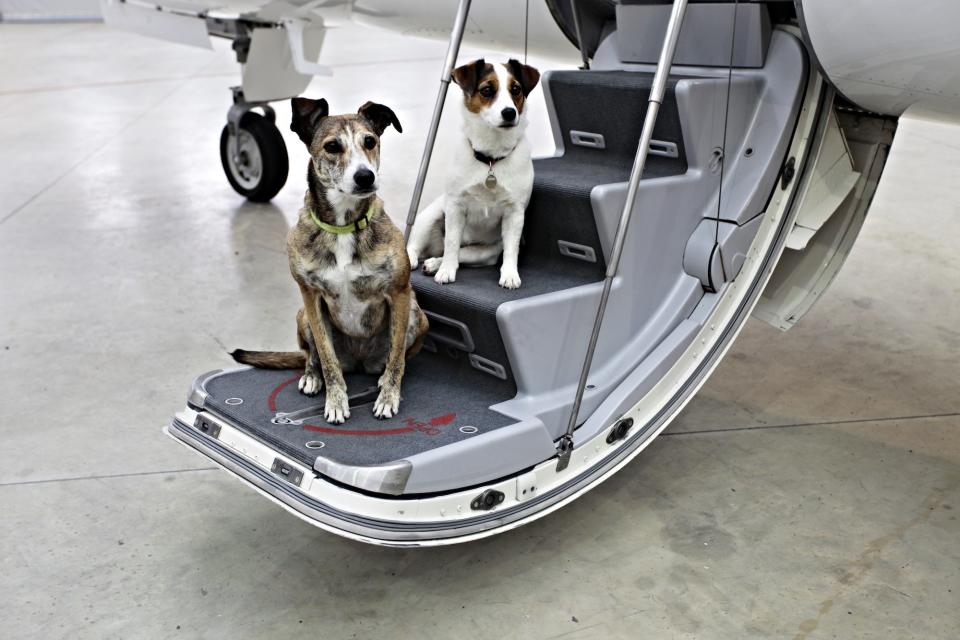 Victor_Jet_Charter_Pets_On_Jets_05