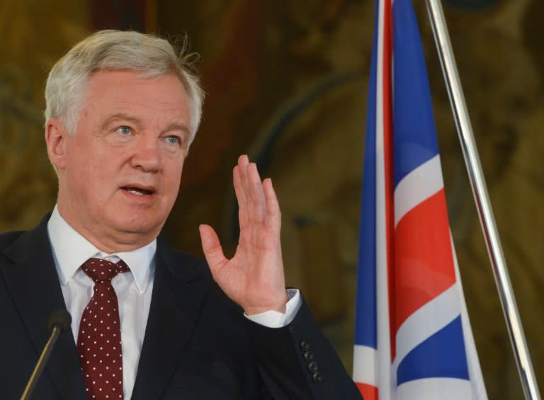 Brexit minister David Davis