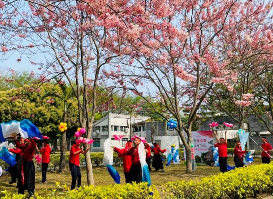 台南教養院生在花旗木盛開的大樹下表演舞蹈。（教養院提供）