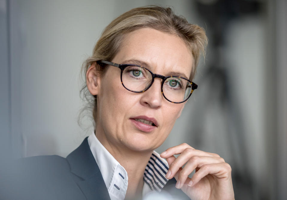 Kostet eine dubiose Großspende Alice Weidel ihre politische Karriere? (Bild: dpa)