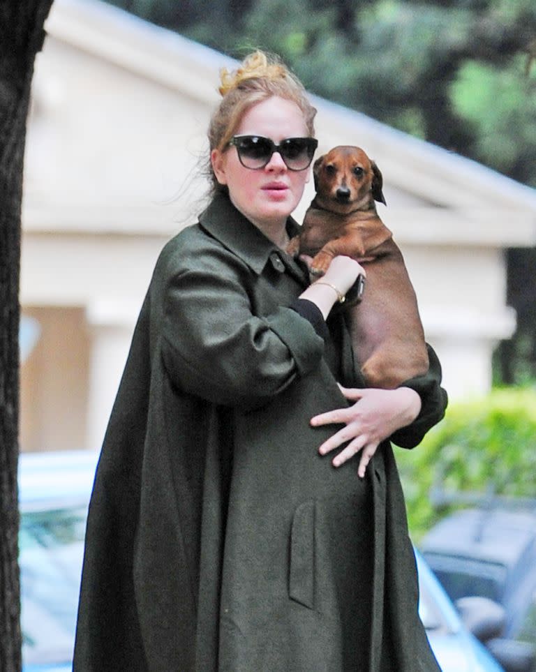 Adele, embarazada, en el a&#xf1;o 2012
