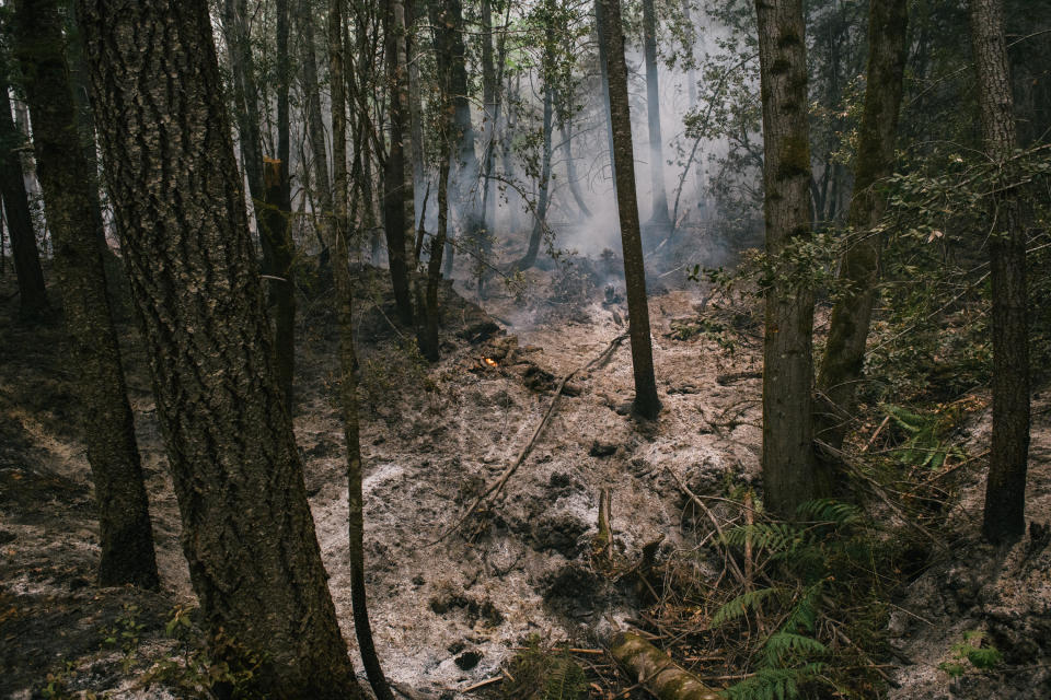 A strategic firing operation on the McCash Fire. (Alexandra Hootnick for Yahoo News)