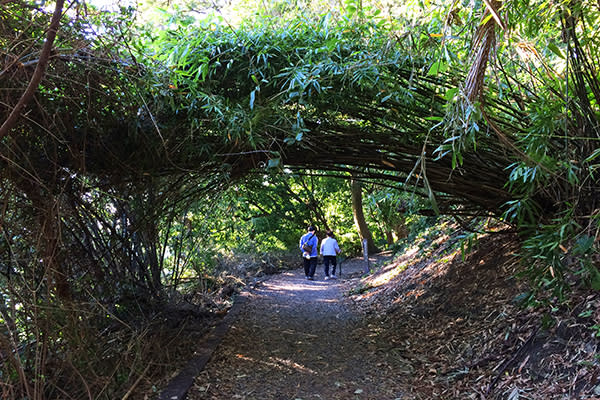 天母古道谷地及梯田景觀 (圖／台北市工務局)