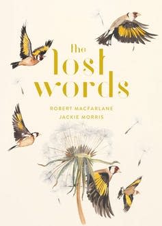 <span class="caption">The Lost Words by Robert McFarlane, illustrated by Jackie Morris.</span> <span class="attribution"><span class="source">(Hamish Hamilton)</span></span>