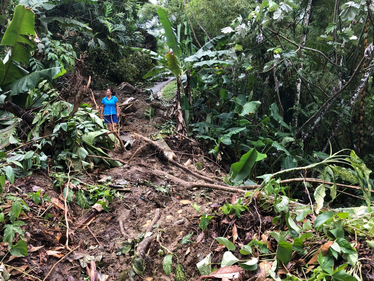 Puerto Rico Tropical Weather (Copyright 2021 The Associated Press. All rights reserved)