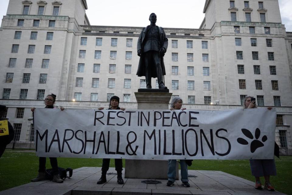 A vigil was held after the shooting of the dogs in east London  (Animal Rising)