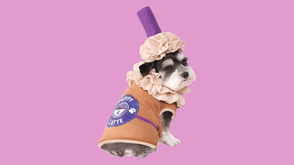 Popular Dog Costumes: Rubie's Puppy Latte Pet Costume