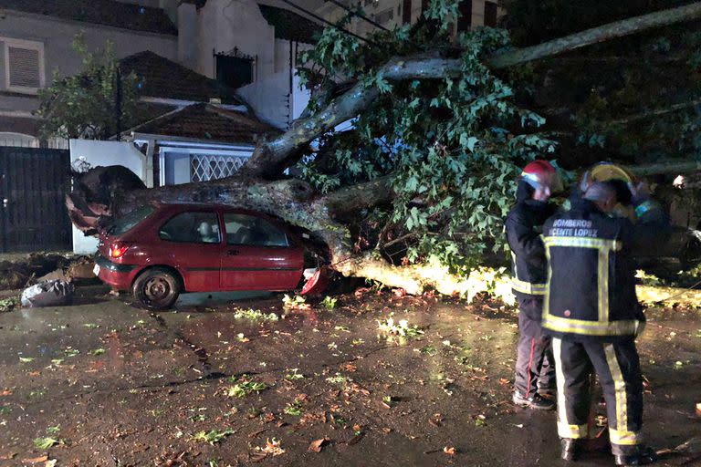 Caída de un árbol en calle Debenedetti al 400 en La Lucila, zona que se vio afectada por cortes de luz